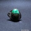 Anillo Fungalia