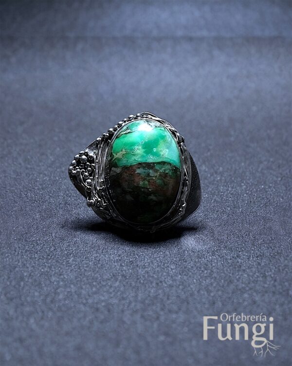 Anillo Fungalia