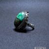 Anillo Fungalia
