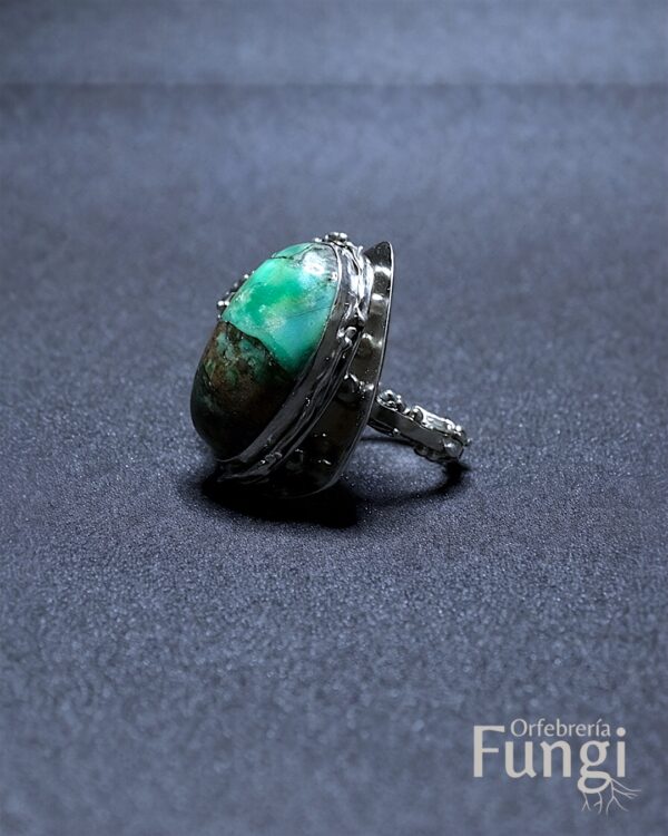 Anillo Fungalia