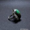 Anillo Fungalia