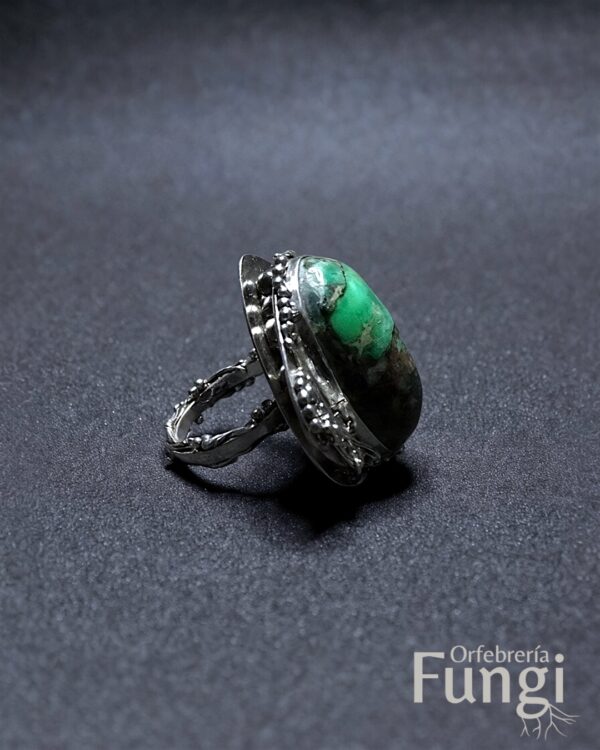 Anillo Fungalia