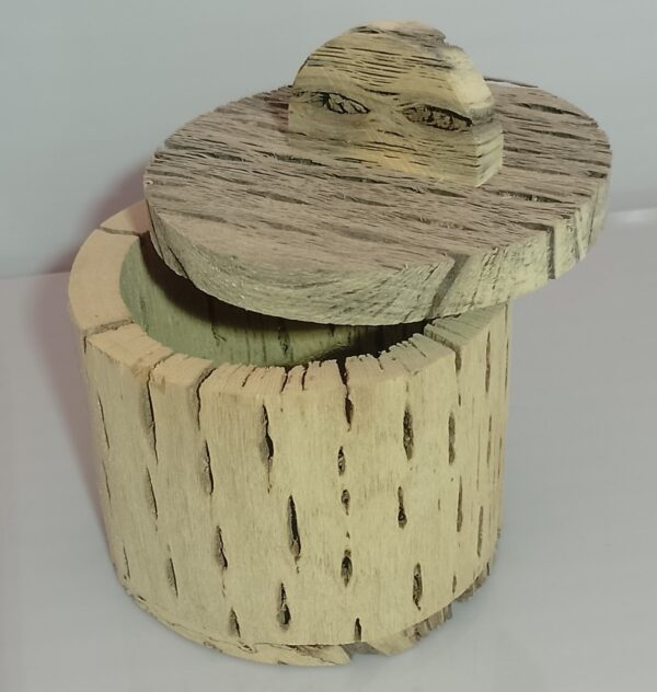 COFRE-JOYERO CACTUS